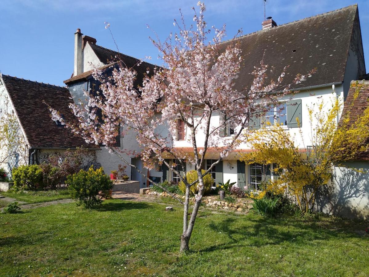 Saint-Brisson-sur-Loire La Ribambelle B&B 외부 사진